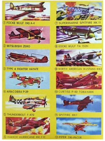 48x EVA Zweefvliegtuigjes piepschuim foam  assortiment