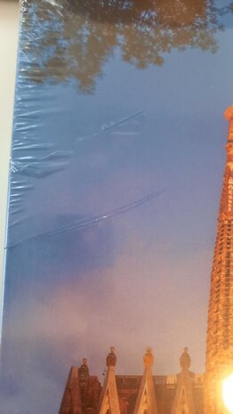 Educa puzzel Sagrada Familia 1.000 stukjes 